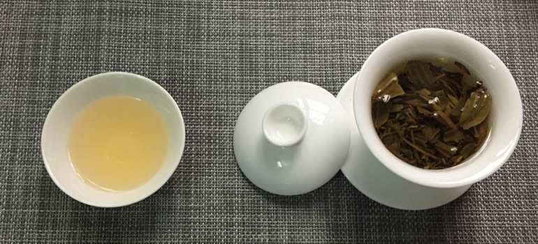Why Does Green Tea Sometimes Taste Fishy?